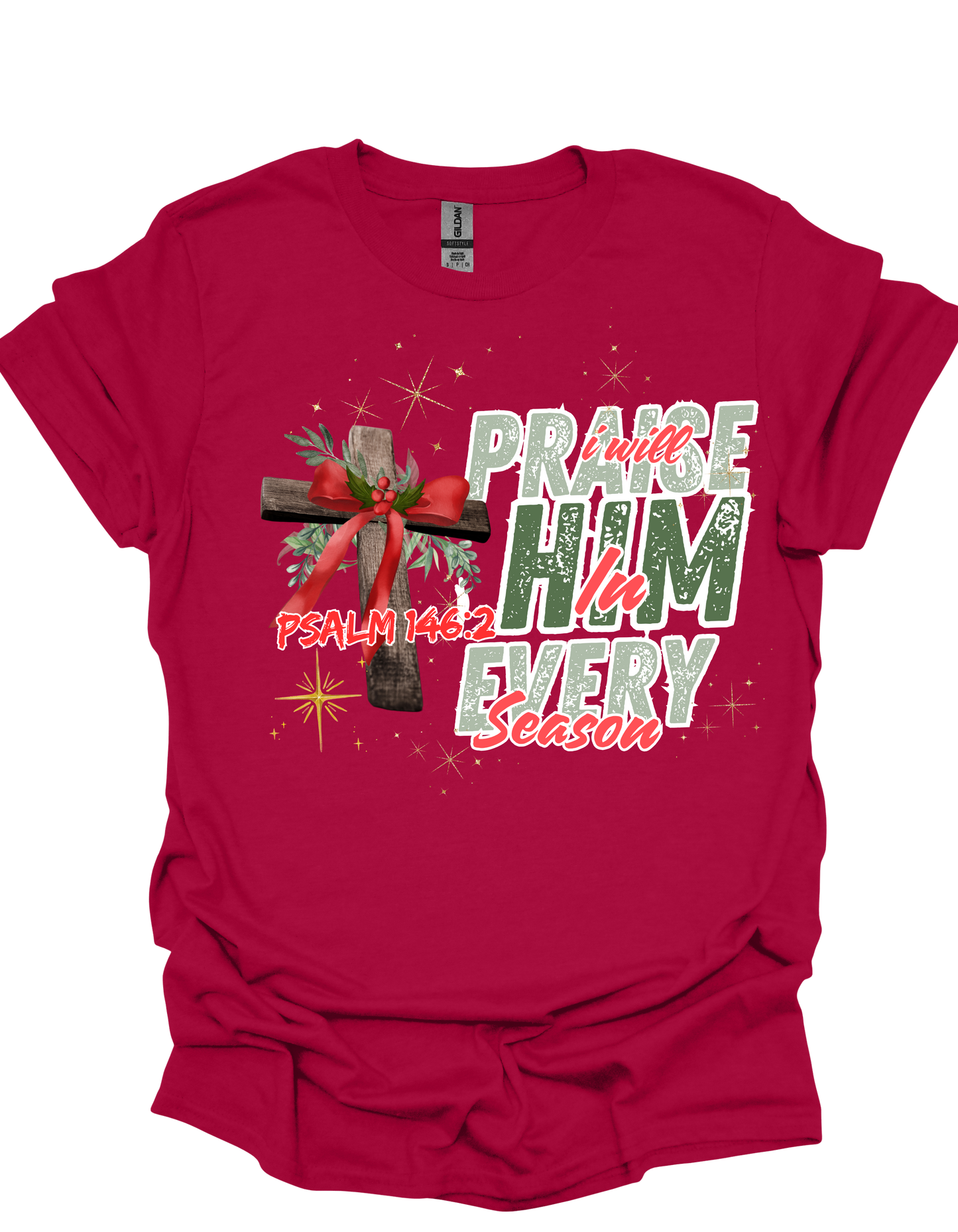 I Will Praise Him Tee