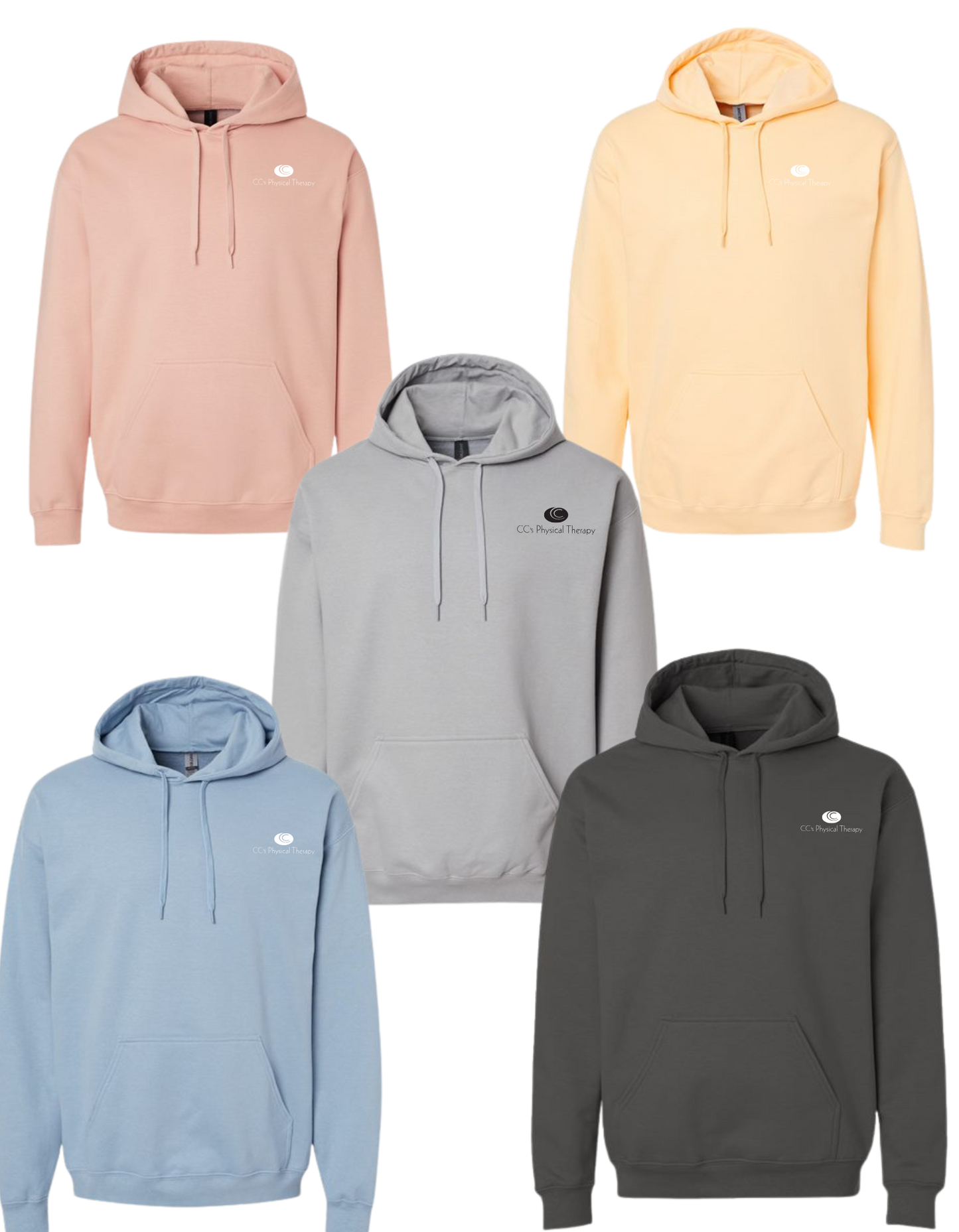 CC's Physical Therapy Midweight Hoodie Small Logo