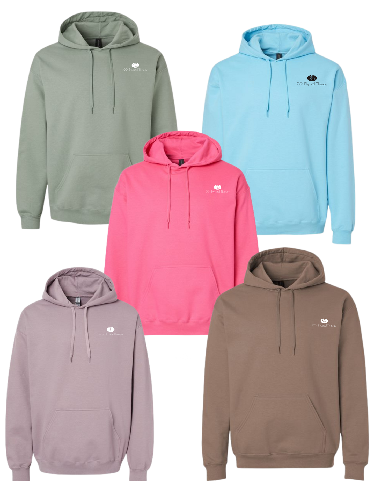 CC's Physical Therapy Midweight Hoodie Small Logo