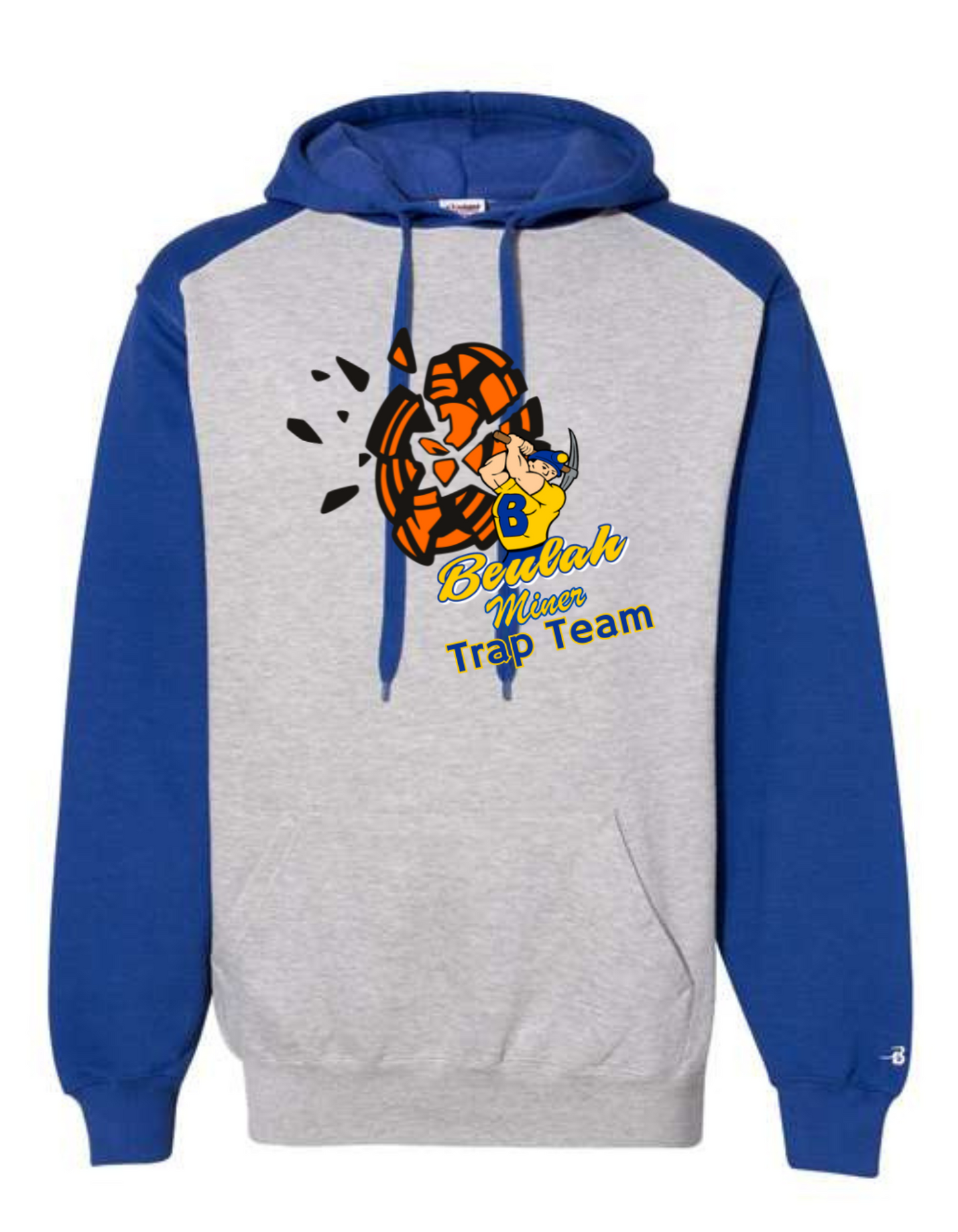 Sport Athletic Fleece Hooded Sweatshirt