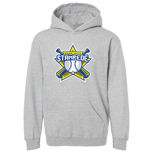 Youth Baseball Hoodies